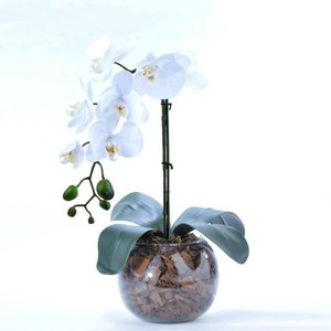 Arranjo de Orquídea Artificial Branca em Aquário Nani