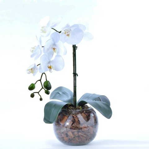 Arranjo de Orquídea Artificial Branca em Aquário Nani
