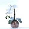 Arranjo de Orquídea Artificial Branca em Aquário Nani - 1