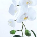 Ver imagem 3 de Arranjo de Orquídea Artificial Branca em Aquário Nani
