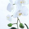 Arranjo de Orquídea Artificial Branca em Aquário Nani - 3