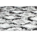 Ver imagem 4 de Colchão Solteiro Luckspuma Espuma D33 Supreme Black (78x188x14) -