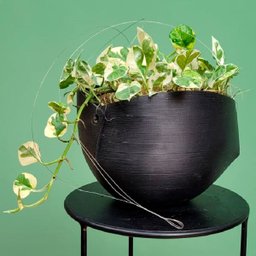 Vaso de planta suspenso Cumbuca - com dispenser - Preto - 3