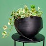 Vaso de planta suspenso Cumbuca - com dispenser - Preto - 3
