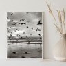 Quadro Praia Preto e Branco - Pássaros 33x24cm - com Vidro:moldura Preta - 2