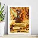 Ver imagem 1 de Quadro Arquétipo Cavalo Barras de Ouro 45x34cm - com Vidro:madeira Branca