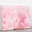 Ver imagem 2 de Quadro Paeonia Lactiflora Flores Rosas Canvas 60x40cm