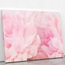 Quadro Paeonia Lactiflora Flores Rosas Canvas 60x40cm - 2