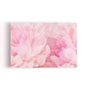 Ver imagem 1 de Quadro Paeonia Lactiflora Flores Rosas Canvas 60x40cm