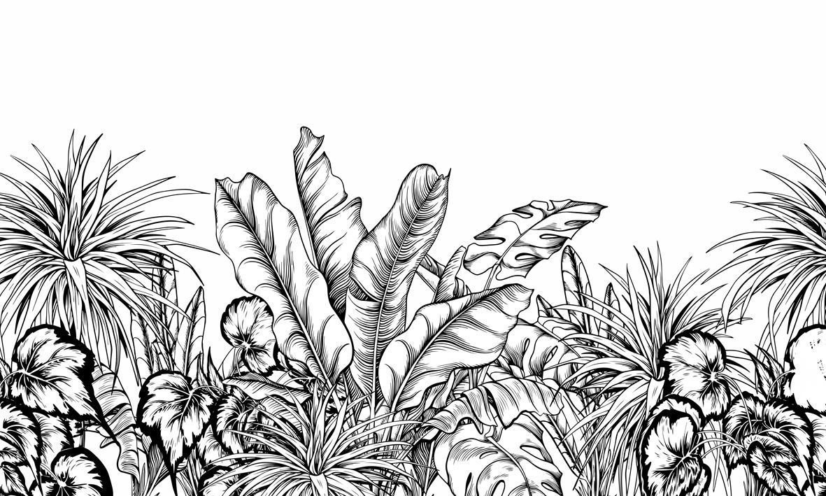 Papel de Parede - Folhas e Sombras - 2