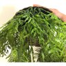 Arranjo Artificial Pendente Samambaia Verde Folhagem Caída com Vaso - 5