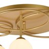 Plafon de Sobrepor Lindo 3xG9 75w TR006 Bella Iluminação - 7