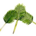 Ver imagem 1 de Planta Artificial Palmeira Areca Real Toque X15 Verde 114 Cm F04 - D'Rossi