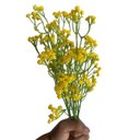 Ver imagem 5 de Kit 12 Galhos Flor Artificial Amarelo para Decoração Festa e Casamento