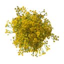 Ver imagem 1 de Kit 12 Galhos Flor Artificial Amarelo para Decoração Festa e Casamento