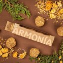 Ver imagem 2 de Bombinha Defumação Inteção Caixa Armonia Defumador de Alimentos.