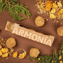 Bombinha Defumação Inteção Caixa Armonia Defumador de Alimentos. - 2