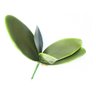 Folha Orquídea Raízes Arranjos Artificiais Flores Top 3 Uni. - 1