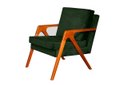 Ver imagem 1 de Poltrona decorativa Mona Luxo Dora Bela - 0130 Verde Musgo
