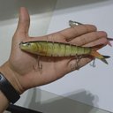 Ver imagem 4 de Isca Artificial 3 Peixes Articulada Pescaria Pesca Fishing Lambari Robalo Tucunare Traira Tainha Açu