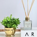 Ver imagem 2 de Difusor de Ambientes com Varetas 100ml Lavanda Home