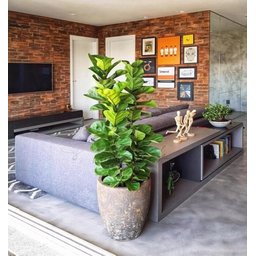 Planta Artificial Ficus Lyrata Decoração Sala 1.30m - 1