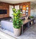 Ver imagem 1 de Planta Artificial Ficus Lyrata Decoração Sala 1.30m