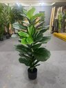 Ver imagem 6 de Planta Artificial Ficus Lyrata Decoração Sala 1.30m