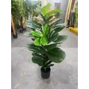 Ver imagem 2 de Planta Artificial Ficus Lyrata Decoração Sala 1.30m