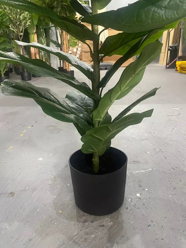 Planta Artificial Ficus Lyrata Decoração Sala 1.30m - 4