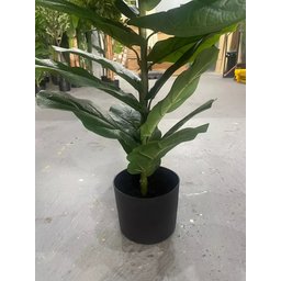 Planta Artificial Ficus Lyrata Decoração Sala 1.30m - 4