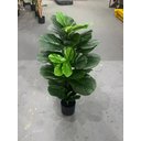 Ver imagem 3 de Planta Artificial Ficus Lyrata Decoração Sala 1.30m