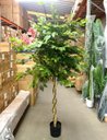 Ver imagem 2 de Árvore Artificial Grande Planta Realista Decoração Sala com 2.00m, Plantas Artificiais.