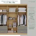 Ver imagem 7 de Guarda-Roupa Casal com Espelho 6 Portas 4 Gavetas Texas Premium Cinza/Jequitibá/Granizo