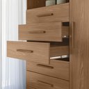 Ver imagem 6 de Multi Comoda Maraba 1 Porta 6 Gavetas Jatoba Santos Andira