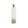 Vaso de Vidro Garrafa Degradê Decor 10X10X23CM REF.WDN9602 Rio Master - 1