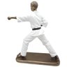 Escultura Decoração Lutador Jiu-jítsu Estatueta em Resina 23cm - 2