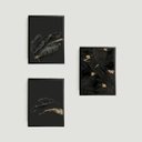 Ver imagem 1 de Kit 3 Quadros Folhas Pretas 24x18cm - com vidro:Madeira preta