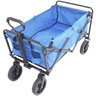 Carrinho Dobrável Articulado Transporte Camping Praia Pesca Até 80 Kg Importway Iwcdca-Az Azul - 3