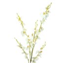 Ver imagem 5 de Jogo 3 Hastes Flor Orquídea Chuva de Ouro Artificial Branca 50cm - Mc Flores