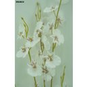 Ver imagem 7 de Jogo 3 Hastes Flor Orquídea Chuva de Ouro Artificial Branca 50cm - Mc Flores