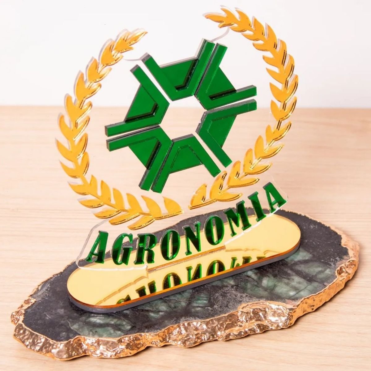 Placa Personolizada Brasão Acrilico Profissões Decoração:agronomia - 3