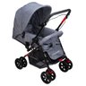 Carrinho de bebê Rover com alça reversível - Cinza - 2