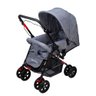 Carrinho de bebê Rover com alça reversível - Cinza - 4