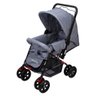 Carrinho de bebê Rover com alça reversível - Cinza - 3