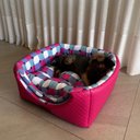 Ver imagem 7 de Cama para Cachorro Toca Quadrada em Corino + Poliéster Rosa e Lilás Grande (g) 50 X 50 X 50 Cm