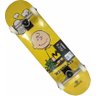 Skate Element Montado Completo Profissional Charlie Crail Next BS Visiible - 1