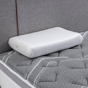 Travesseiro de Espuma 60x40x10cm Ecosoft 
