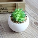 Ver mais imagens de Vaso Decorativo Cachepot Redondo p/ Plantas e Flores