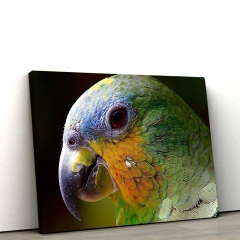 Quadros Decorativos de Pvc 018 60 X90 Cm